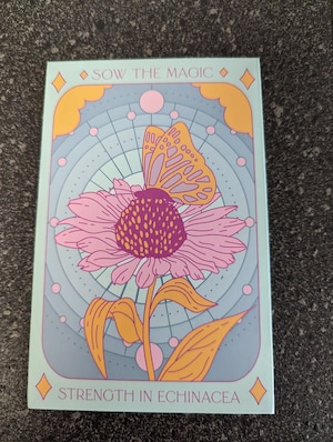 Sow The Magic seeds